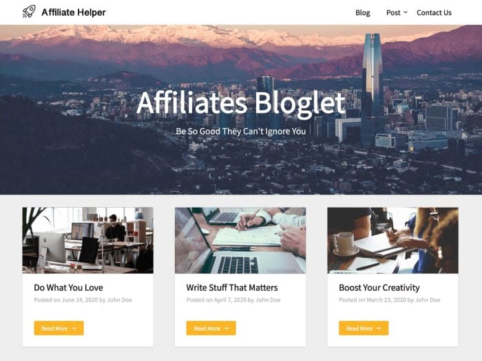 affiliate marketing WordPress themes